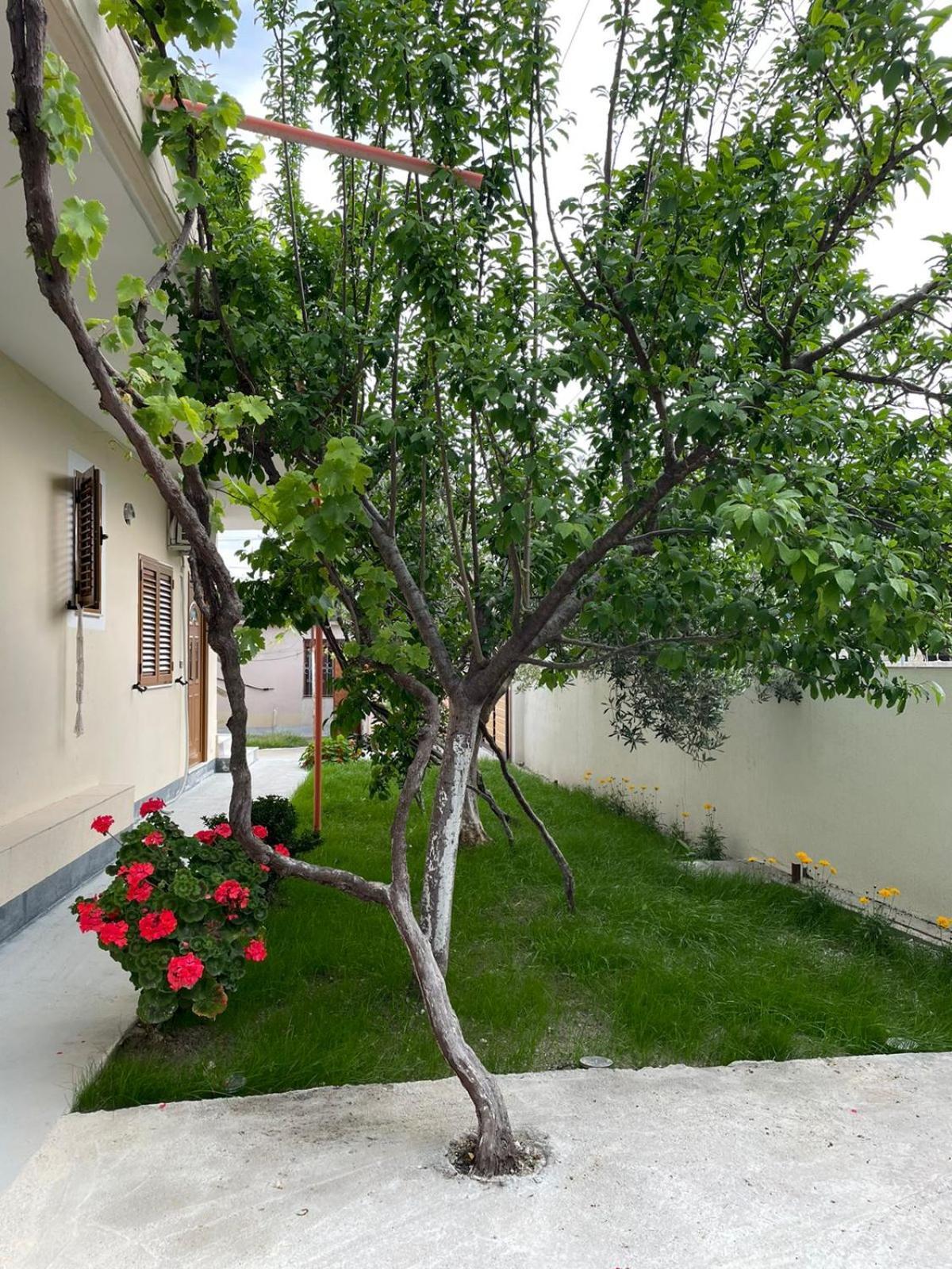 Blossom Apartments Vlorë Exteriér fotografie