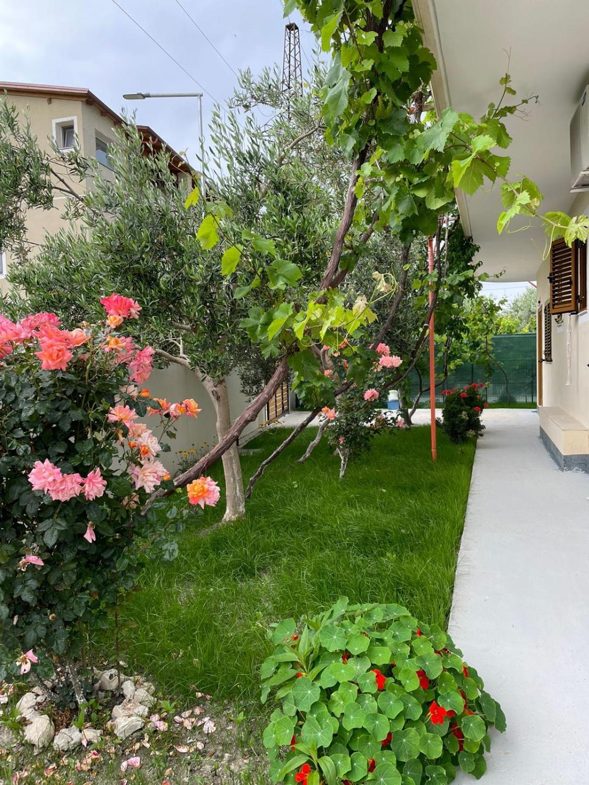 Blossom Apartments Vlorë Exteriér fotografie